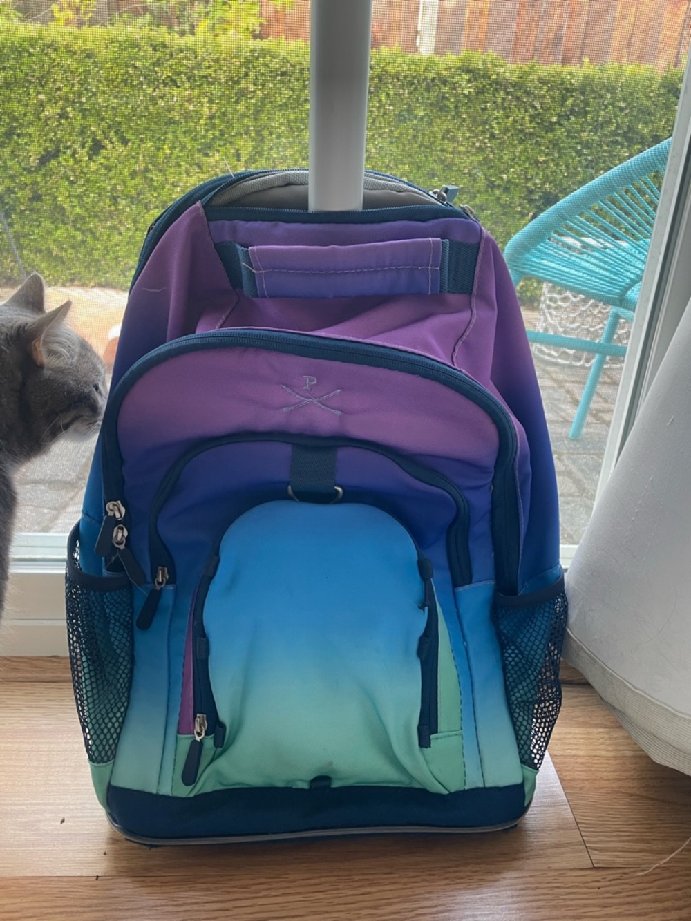 Pottery Barn Rolling Backpack